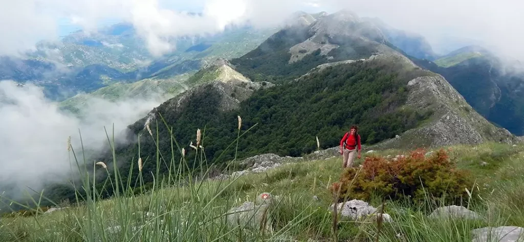 Prokletije